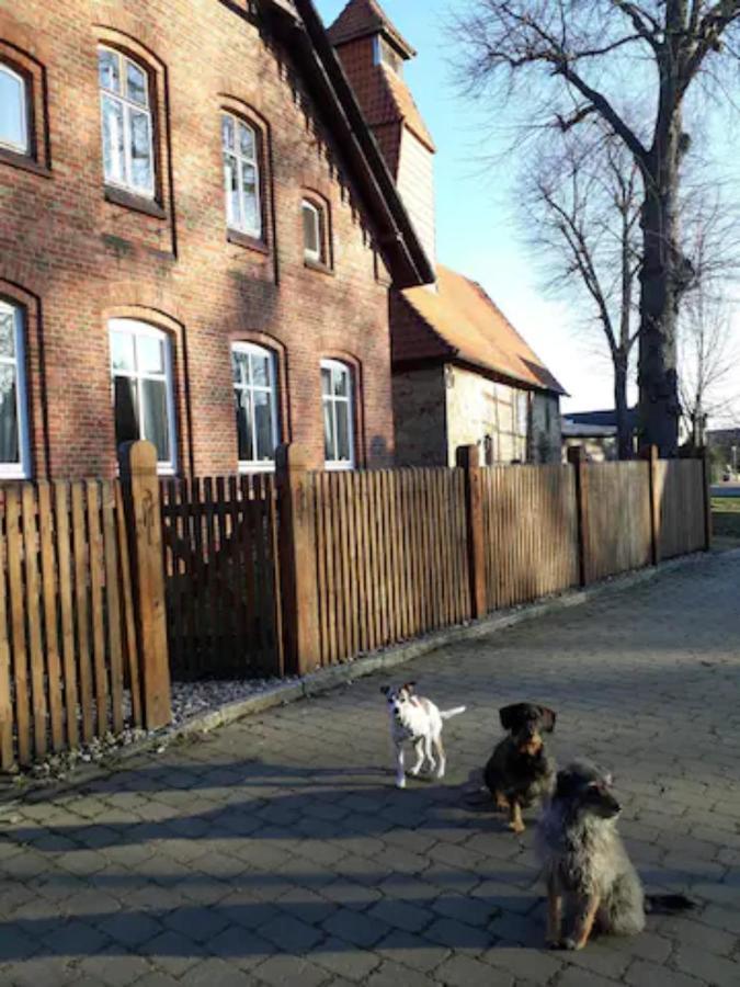 Charmante Dorfschule Hohenhameln Eksteriør billede